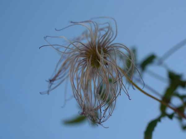 f:id:elmikamino:20101031120653j:image f:id:elmikamino:20101031120653j:image