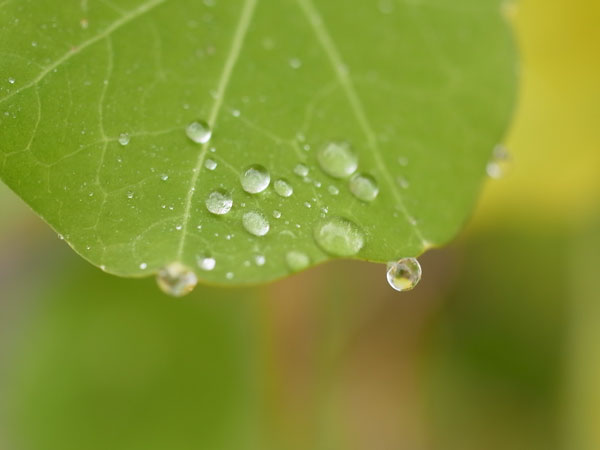 f:id:elmikamino:20101103120256j:image