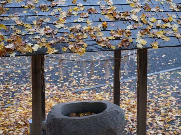 f:id:elmikamino:20101103120311j:image