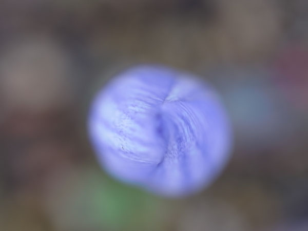 f:id:elmikamino:20101105095843j:image