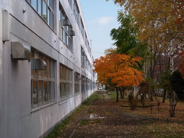 f:id:elmikamino:20101106134527j:image