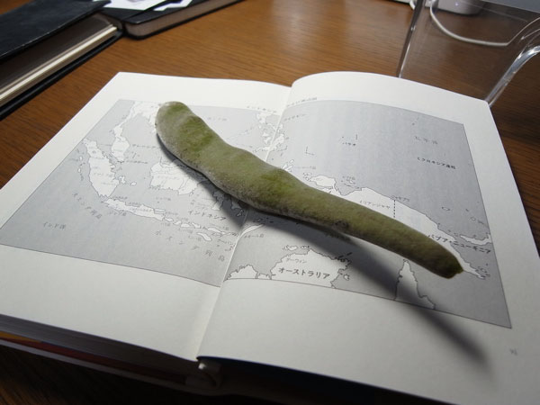 f:id:elmikamino:20101109155954j:image