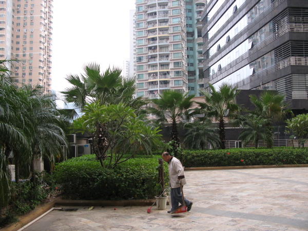 f:id:elmikamino:20101115084742j:image