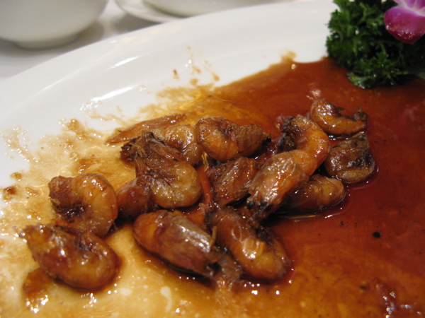 f:id:elmikamino:20101115192652j:image