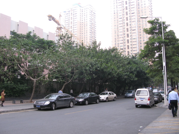 f:id:elmikamino:20101116092404j:image