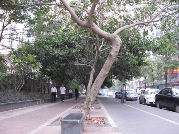f:id:elmikamino:20101116092511j:image