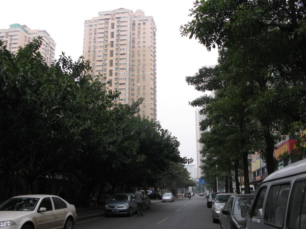 f:id:elmikamino:20101116092549j:image