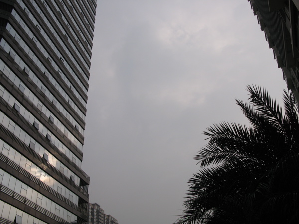 f:id:elmikamino:20101116095849j:image