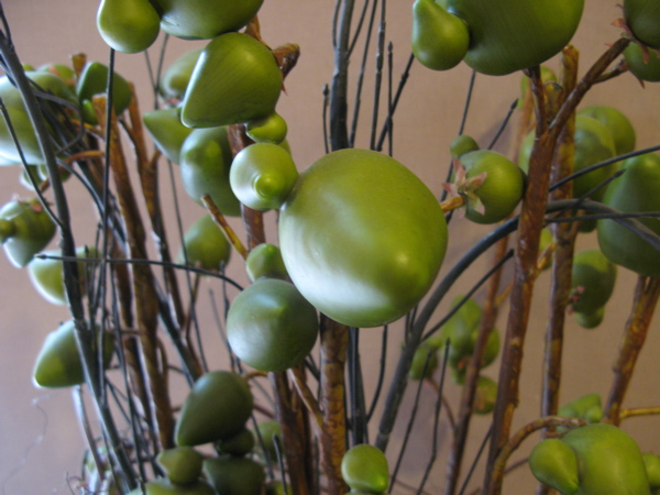 f:id:elmikamino:20101116100004j:image