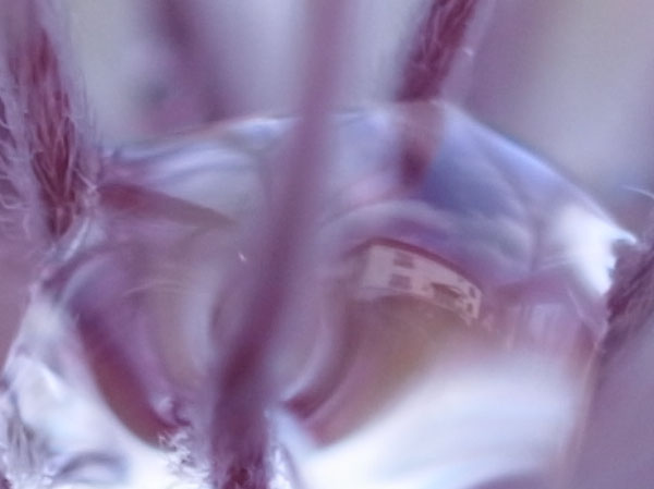 f:id:elmikamino:20101126121220j:image