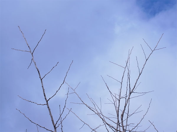 f:id:elmikamino:20101126121227j:image