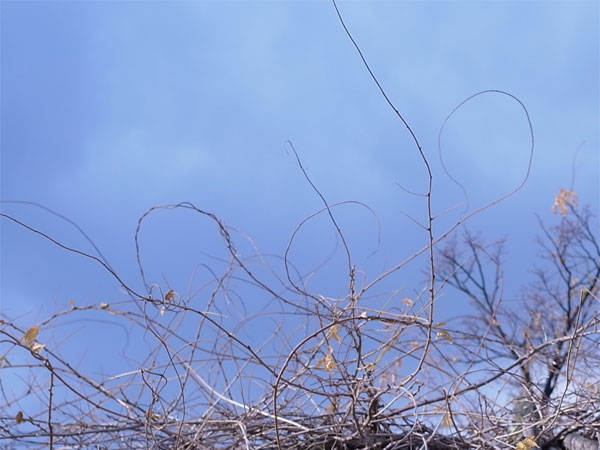 f:id:elmikamino:20101126121228j:image