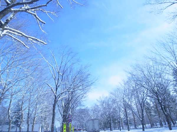 f:id:elmikamino:20101129111310j:image