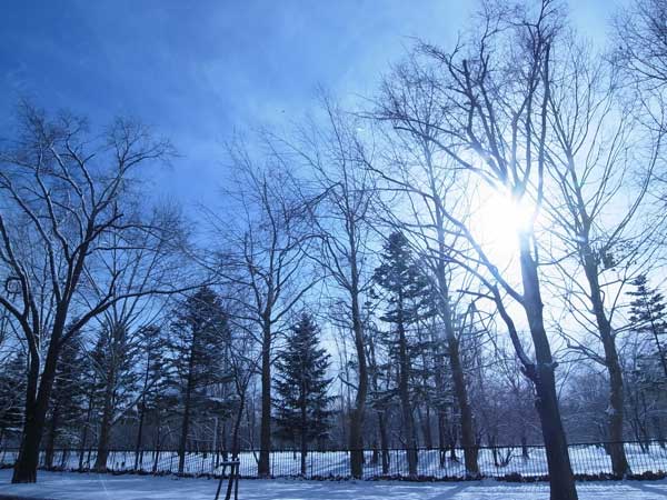 f:id:elmikamino:20101129111325j:image