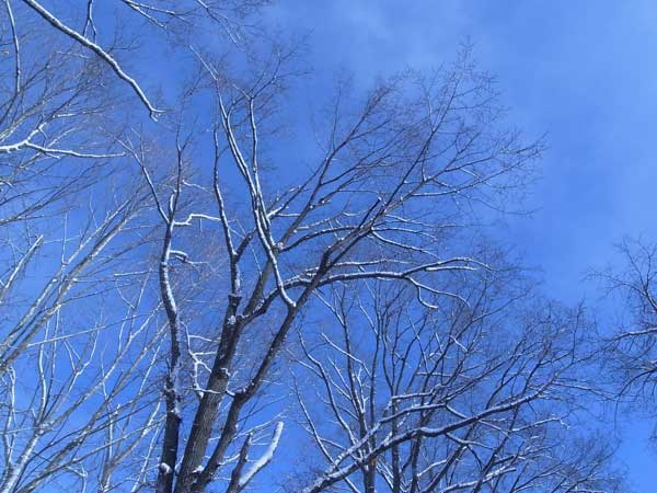 f:id:elmikamino:20101129111342j:image