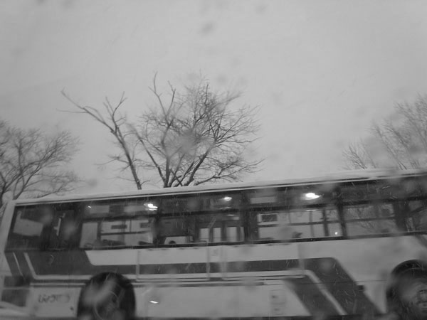 f:id:elmikamino:20101129202259j:image