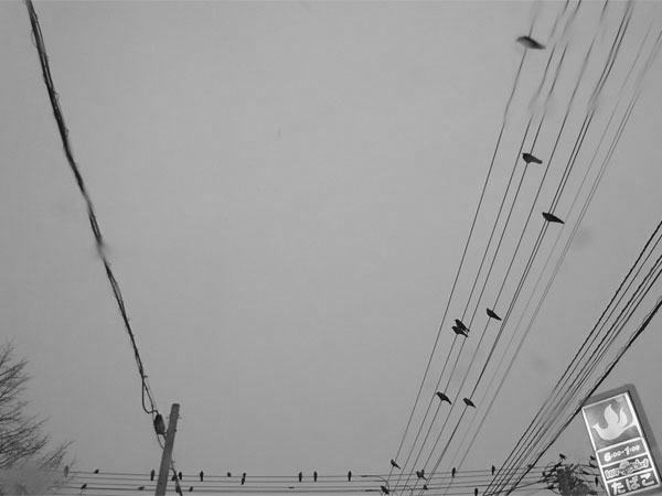 f:id:elmikamino:20101129202305j:image