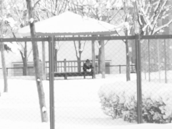 f:id:elmikamino:20101130125905j:image