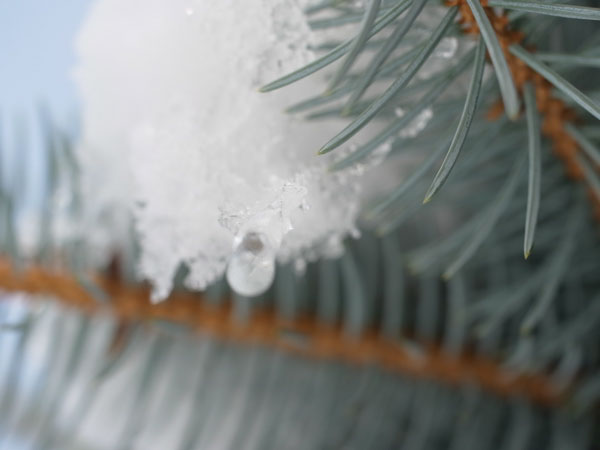 f:id:elmikamino:20101130125906j:image