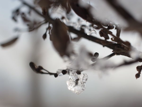 f:id:elmikamino:20101130125907j:image