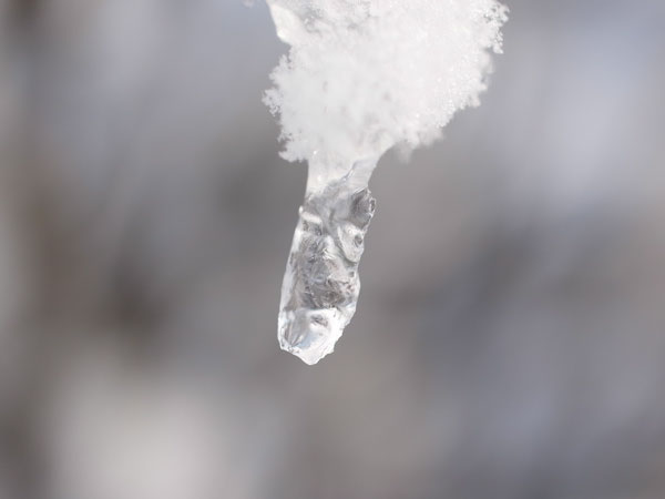 f:id:elmikamino:20101130125911j:image