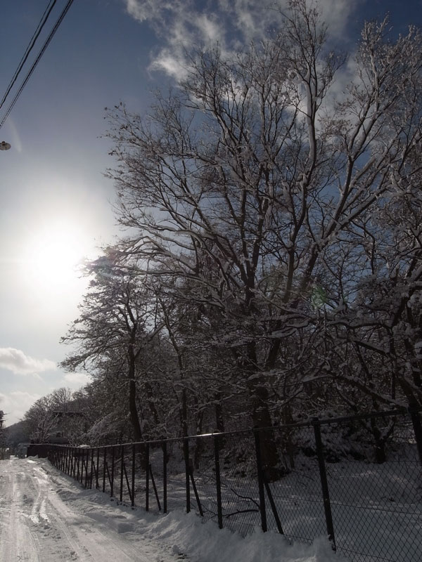 f:id:elmikamino:20101130125914j:image