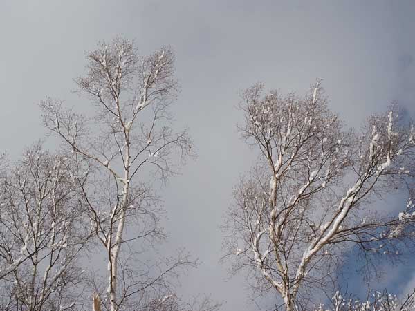 f:id:elmikamino:20101130125916j:image