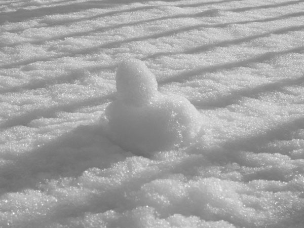 f:id:elmikamino:20101202225139j:image