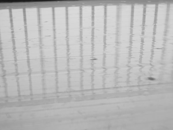 f:id:elmikamino:20101203102210j:image