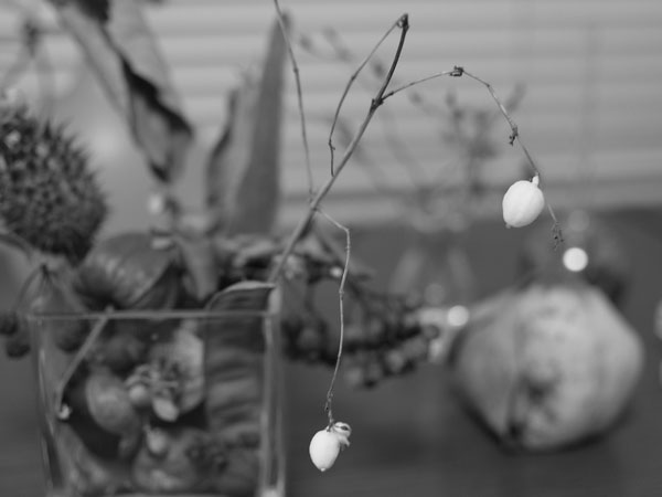 f:id:elmikamino:20101205005151j:image