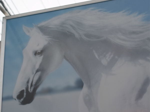 f:id:elmikamino:20101205132129j:image