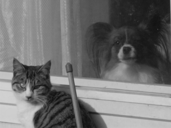 f:id:elmikamino:20101205214128j:image