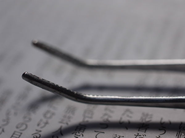 f:id:elmikamino:20101207230133j:image