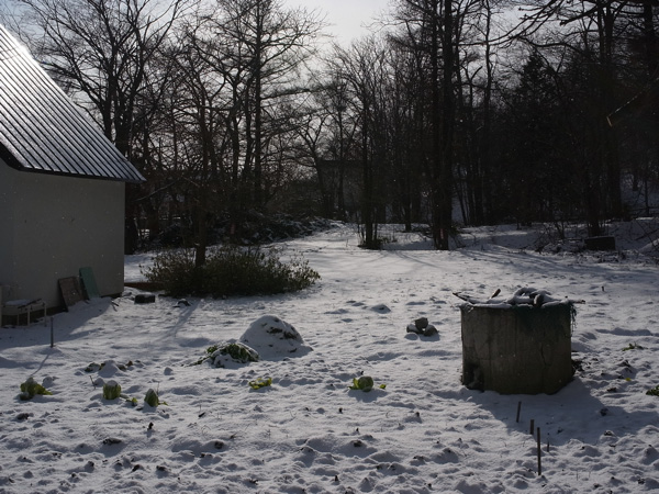 f:id:elmikamino:20101210101442j:image