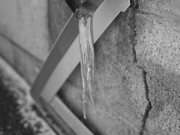 f:id:elmikamino:20101210101853j:image