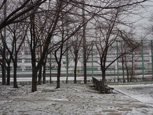 f:id:elmikamino:20101211121915j:image f:id:elmikamino:20101211121915j:image