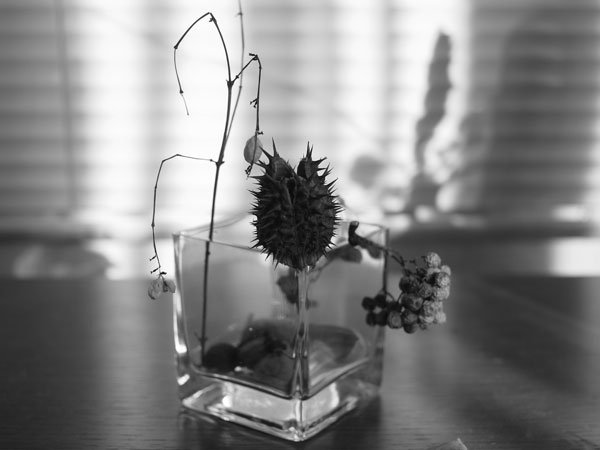 f:id:elmikamino:20101217090315j:image