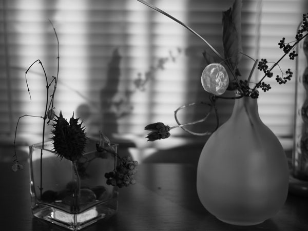 f:id:elmikamino:20101217090341j:image