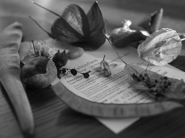 f:id:elmikamino:20101217090439j:image