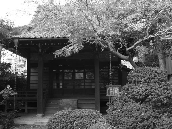 f:id:elmikamino:20101222221027j:image