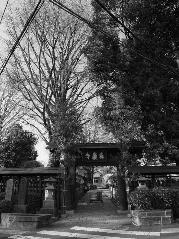 f:id:elmikamino:20101222221031j:image
