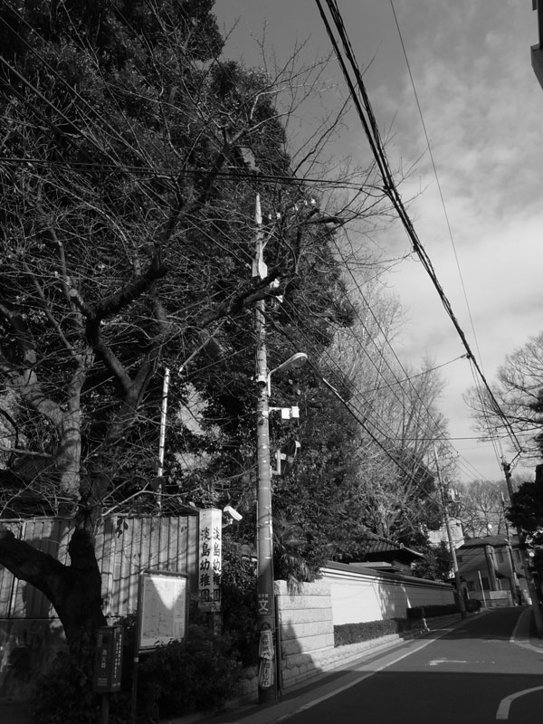 f:id:elmikamino:20101222221050j:image