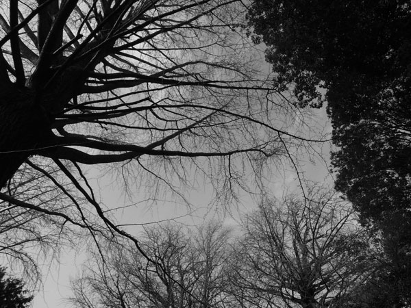 f:id:elmikamino:20101222221056j:image