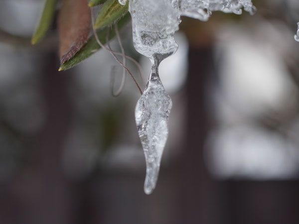 f:id:elmikamino:20101225112830j:image