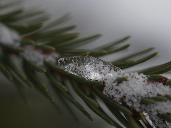 f:id:elmikamino:20101226121927j:image