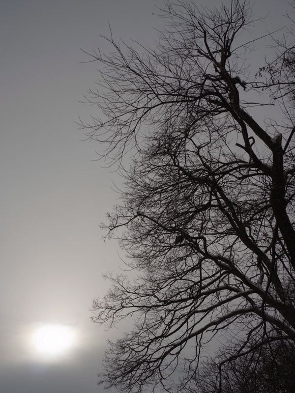 f:id:elmikamino:20101226121936j:image