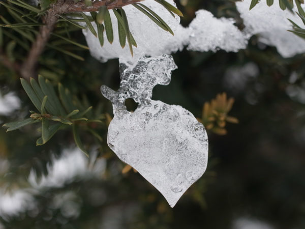 f:id:elmikamino:20101226121939j:image