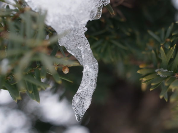 f:id:elmikamino:20101226121940j:image