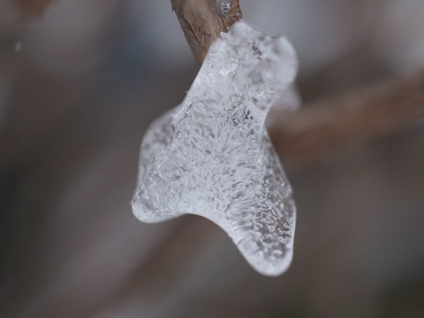 f:id:elmikamino:20101226121941j:image