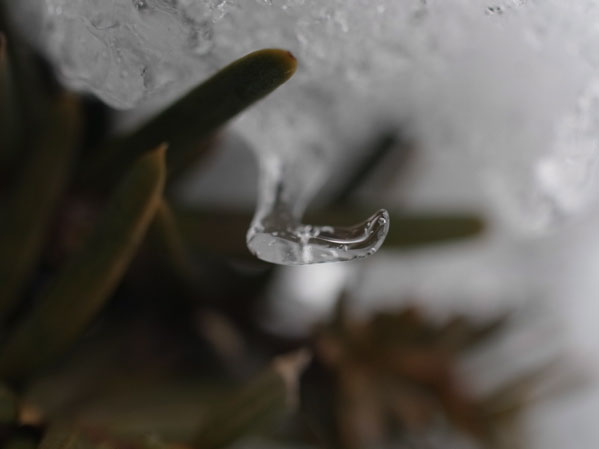 f:id:elmikamino:20101226121942j:image